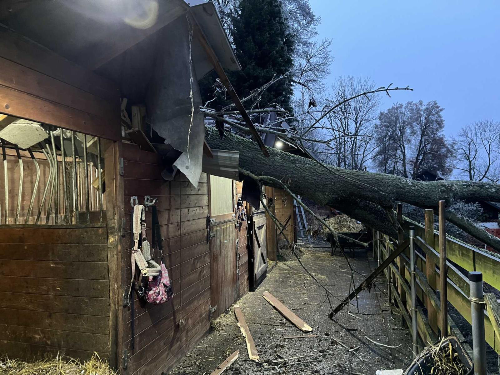 2025_12_16_TP_UL_Malečov 02.jpeg