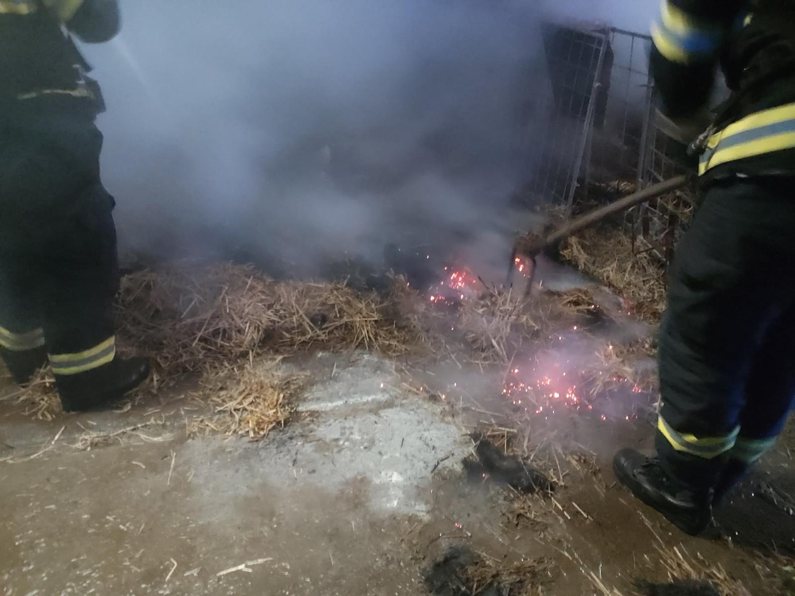 2026-01-18 P Zakřany (2).jpg