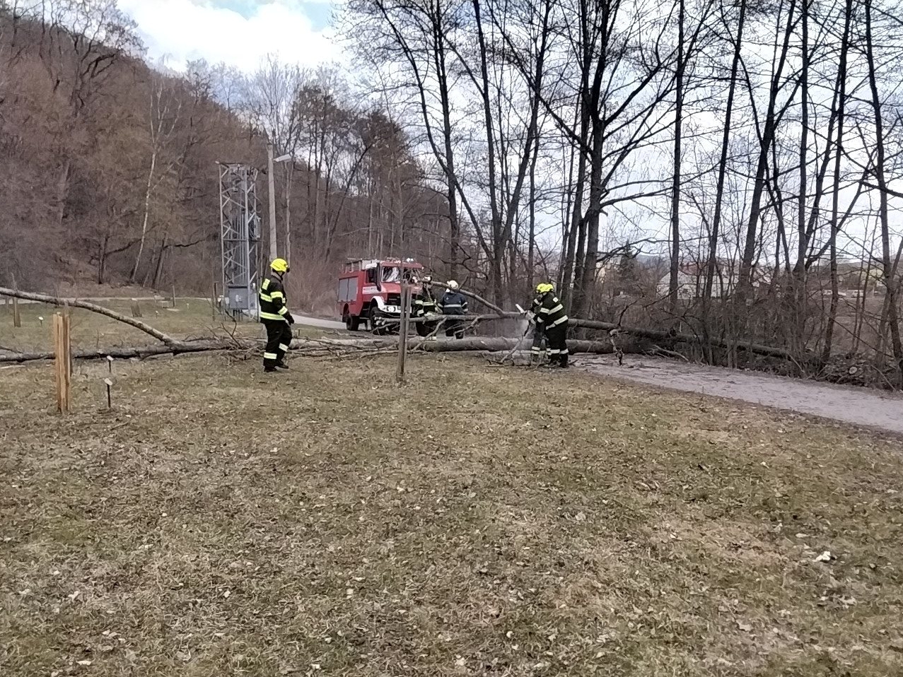 2026-03-14 strom Veverská Bítýška.jpg