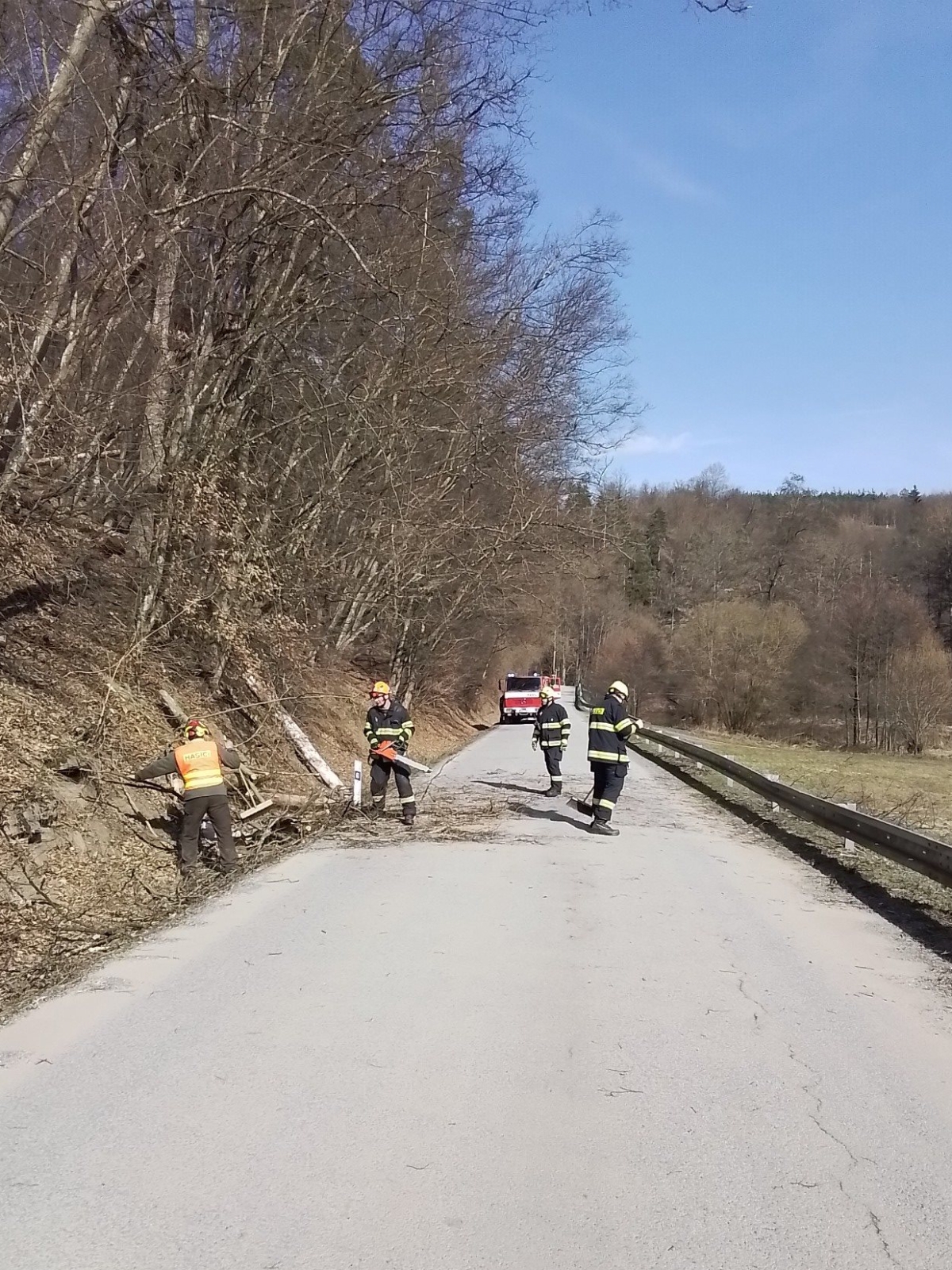 2026-03-14 strom Vysočany.jpg