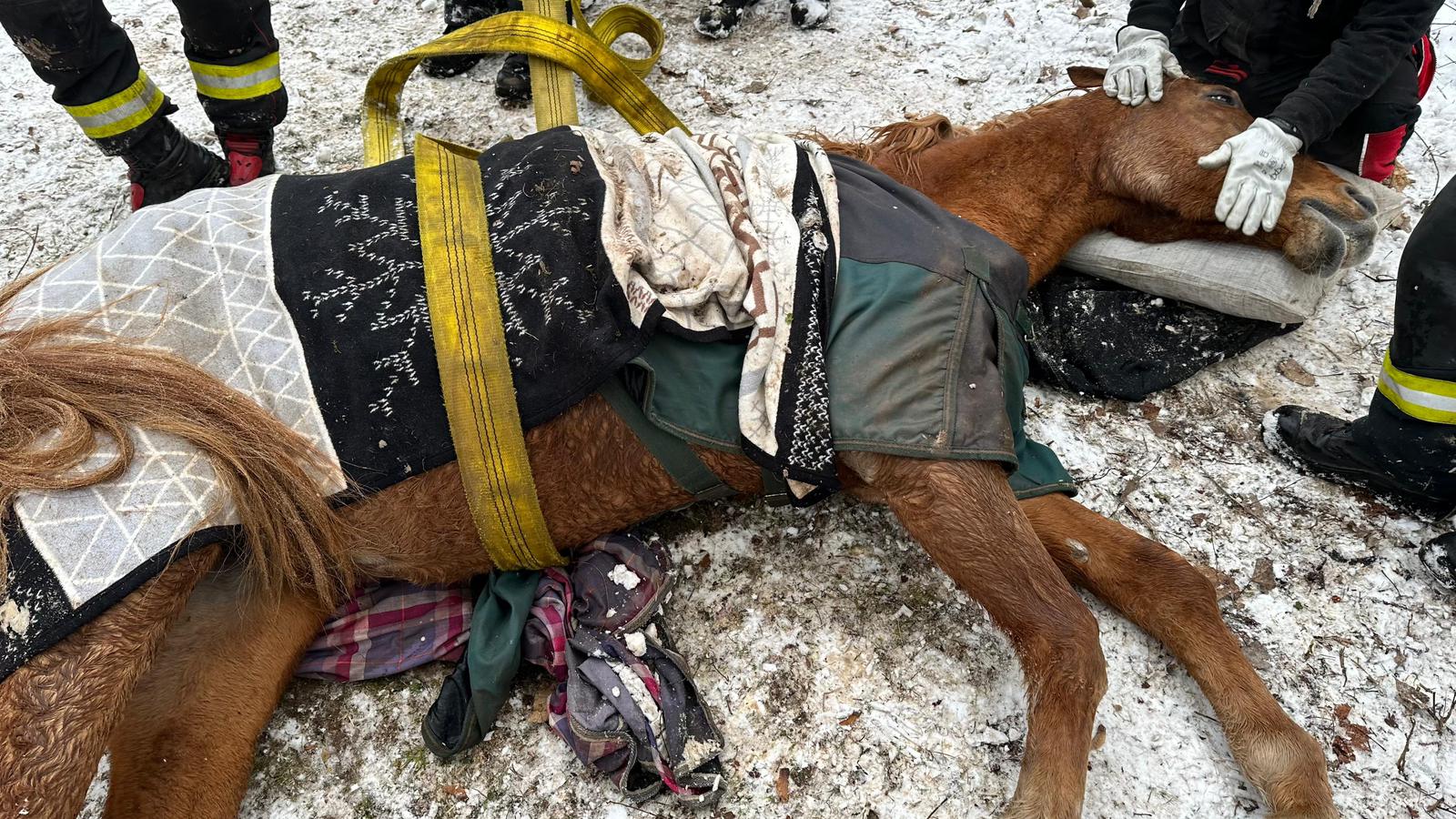 2026_01_09_ZOZ_TP_Zabrušany 02.jpg