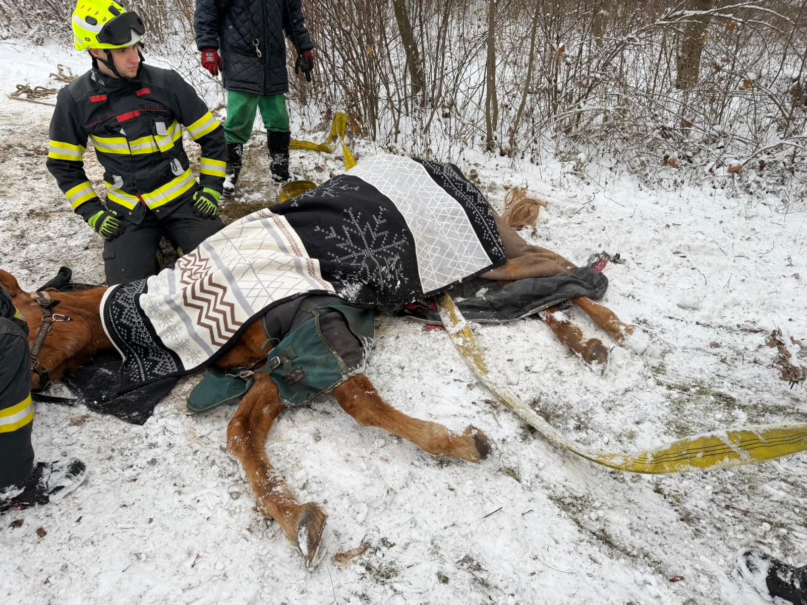 2026_01_09_ZOZ_TP_Zabrušany 03.jpg