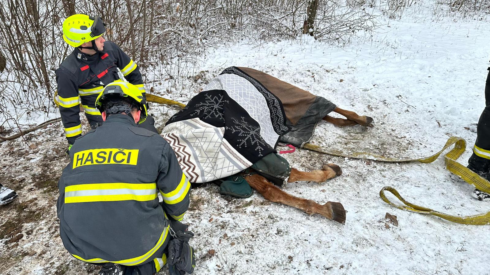 2026_01_09_ZOZ_TP_Zabrušany 06.jpg