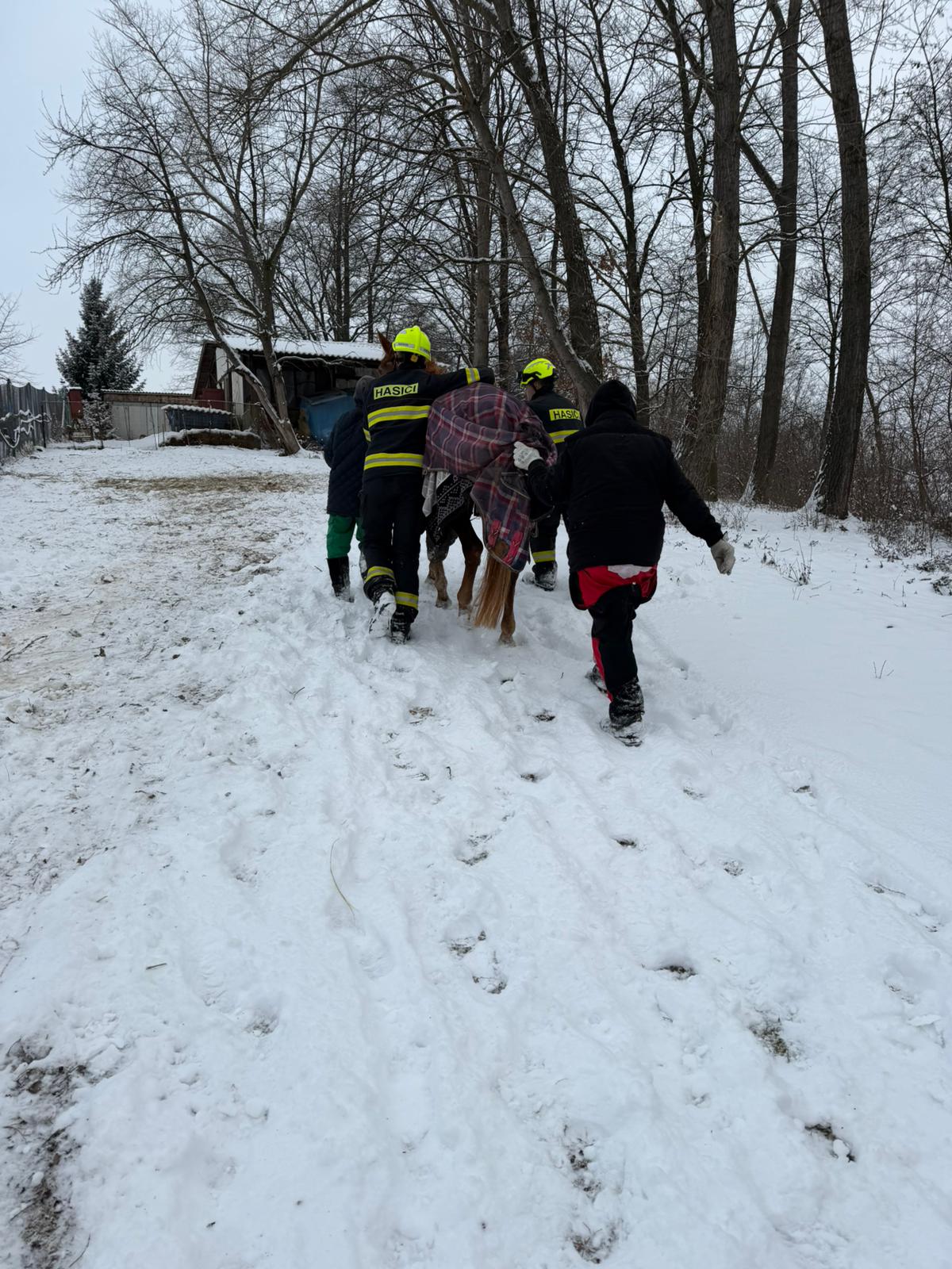 2026_01_09_ZOZ_TP_Zabrušany 07.jpg