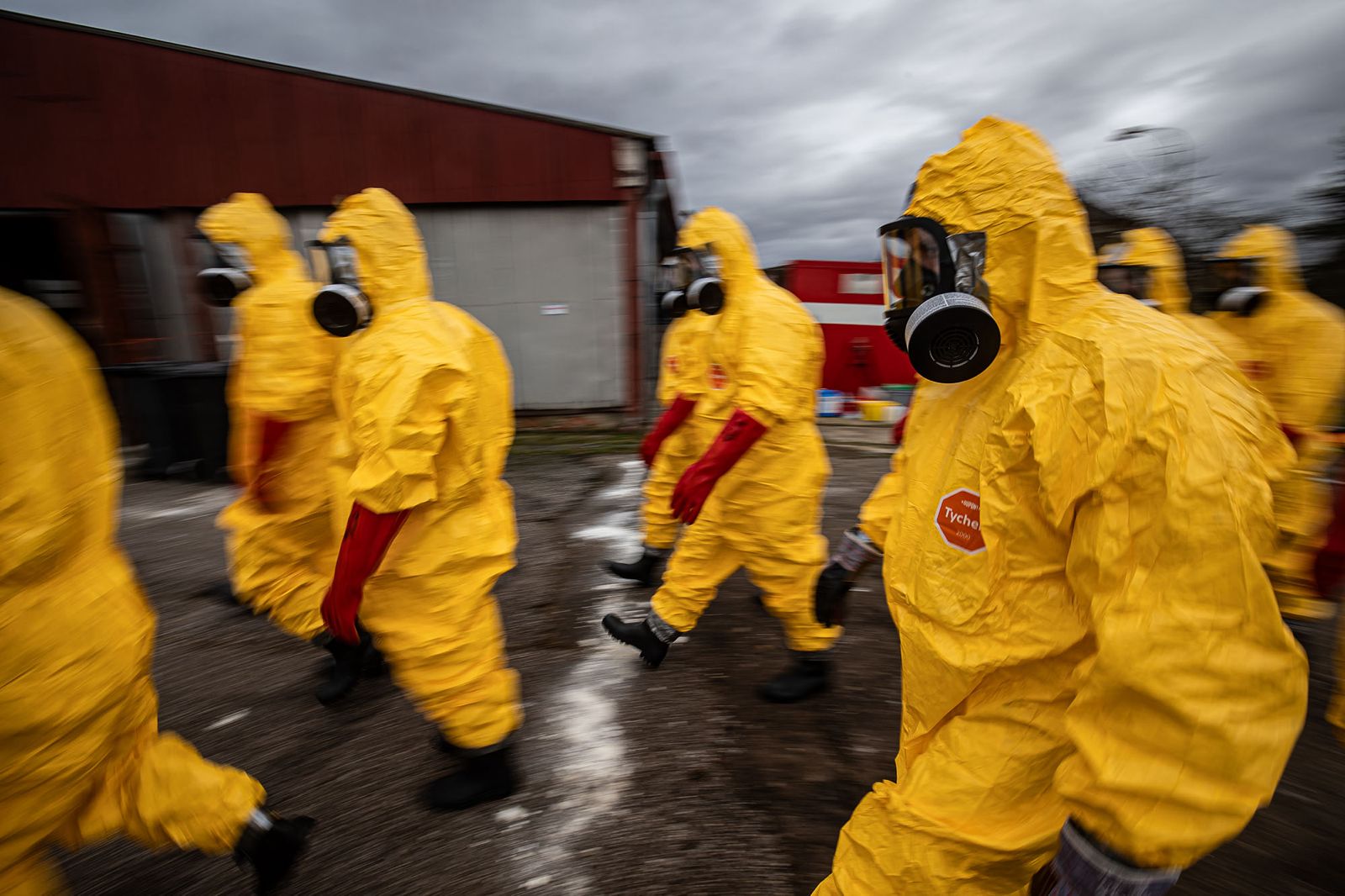 2026_02_13_Ptaci_chripka_Kosicky (5).jpeg