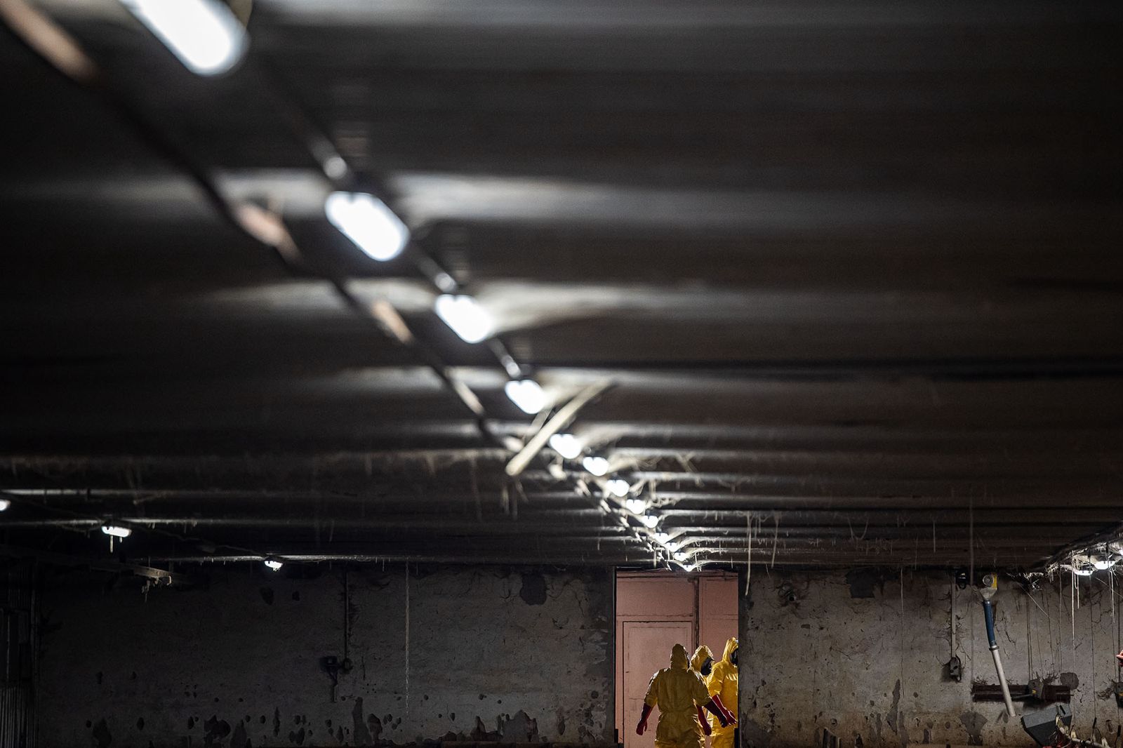 2026_02_13_Ptaci_chripka_Kosicky (7).jpeg