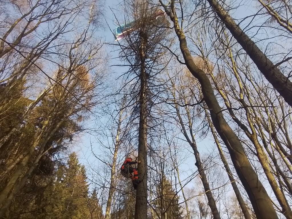 2026_03_07-Dopravni_nehoda_letecka_TP (2).jpeg