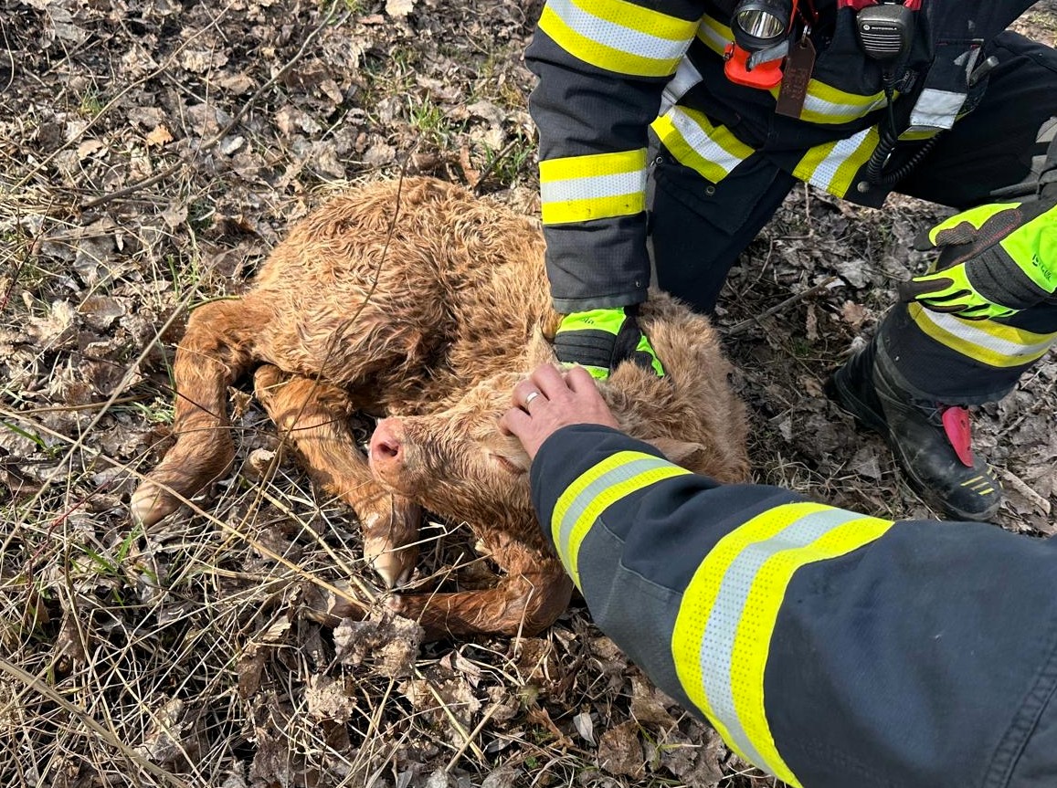 2026_03_27_zachrana_telete_UL