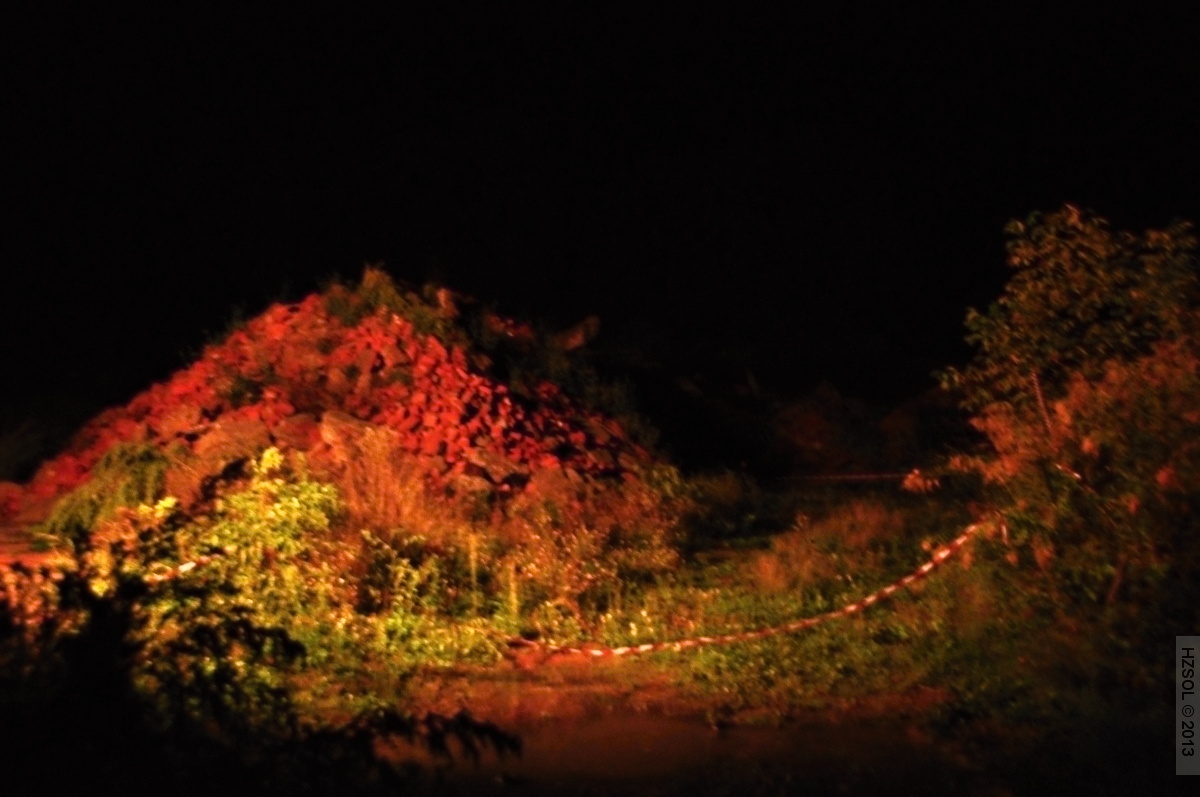 21 MČR psovodů, záchranných psů složek IZS Prostjějov 2013 (1).JPG