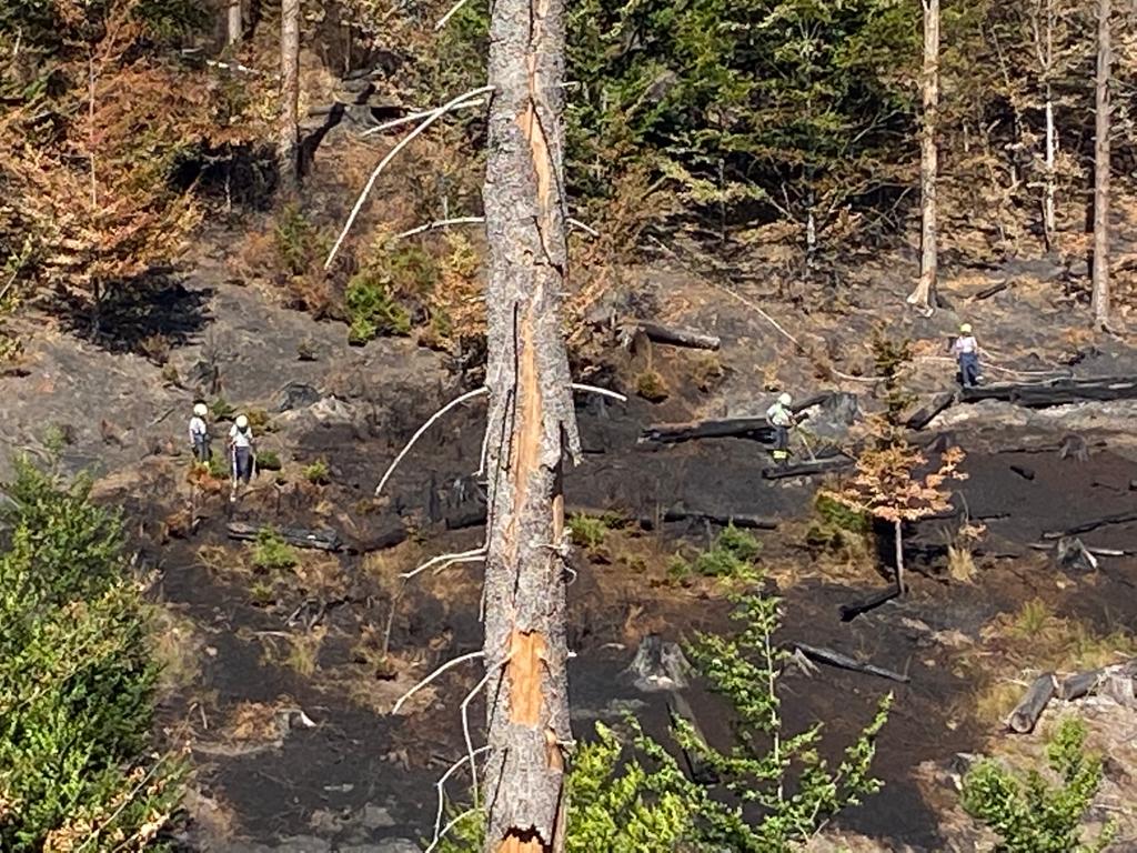 277-Požár v Národním parku České Švýcarsko.jpeg