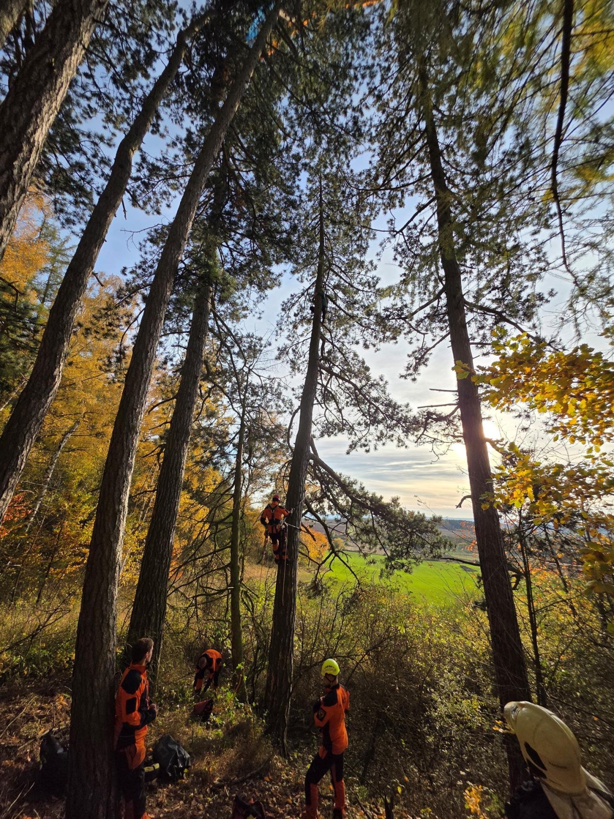 291025-Záchrana paraglidisty z vysoké borovice mezi obcemi Řevničov a Hředle na Rakovnicku.jpg