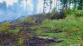 3 16-6-2015 Požár lesní porost Dlouhomilov (3)