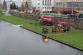 3 DSC00094