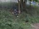 3 Dopraví nehoda motorka, Velký Pěčín - 20. 6. 2015 (3)