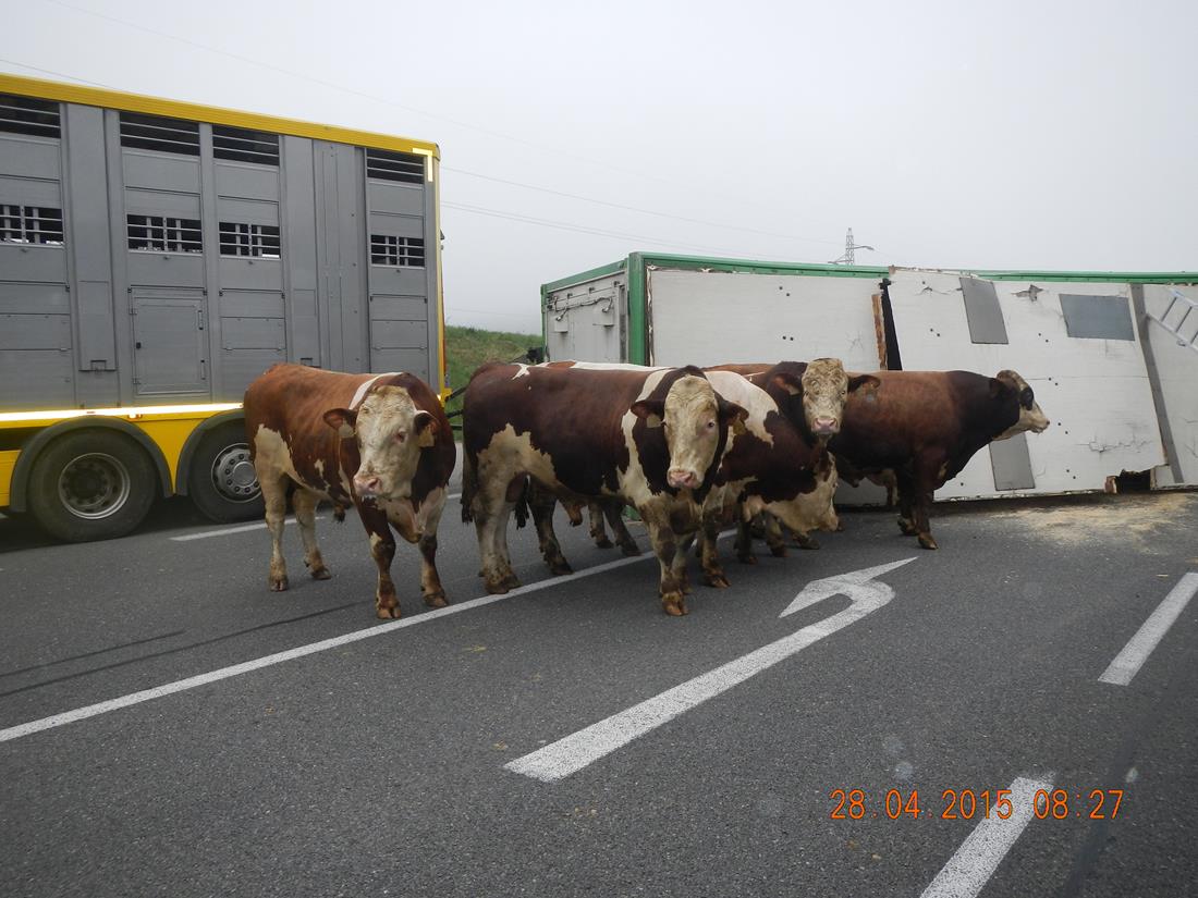 3 Dopravní nehoda NA, Dolní Hořice -  28. 4. 2015 (4).jpg