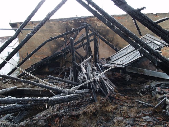 3 P2046490.JPG