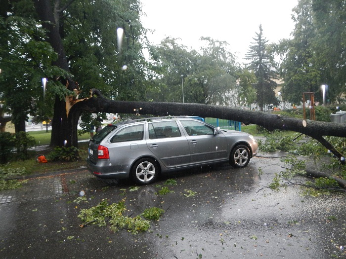 3 Pád stromu na 2 OA, České Budějovice - 21. 7. 2014 (3).jpg