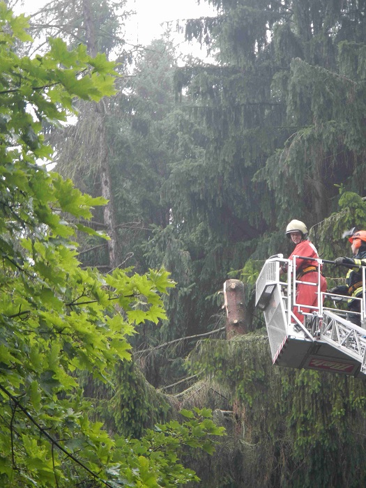 3 Spadlý strom, Hrabice - 22. 7. 2014 (3).jpg