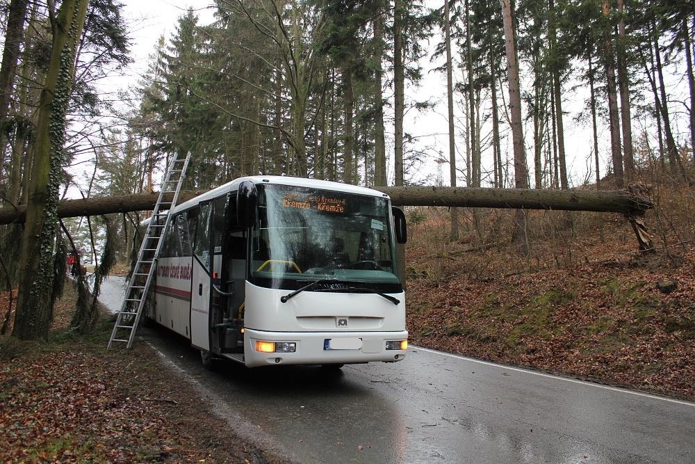 3 Spadlý strom na bus, Plešovice - 31. 3. 2015 (1).JPG
