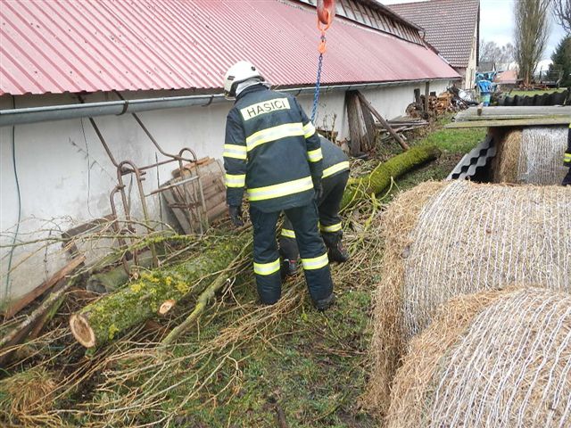 3 Spadlý strom na hřebčín, Roseč - 31. 3. 2015 (7).jpg