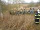 3 Stádo býků, Borotín - 15. 12. 2015 (5)