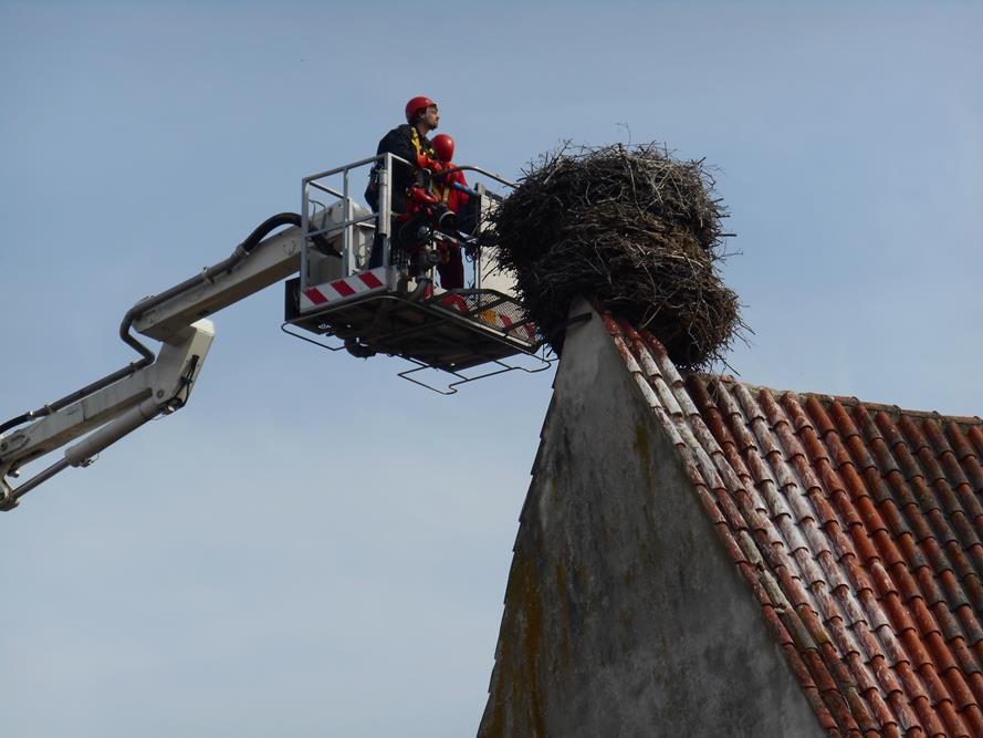 3 Záchrana čapích vajec, Dubné - 11. 4. 2015 (1).JPG
