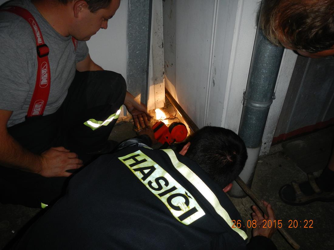 3 Záchrana štěněte, Dlouhá Louka - 26. 8. 2015 (1).jpg