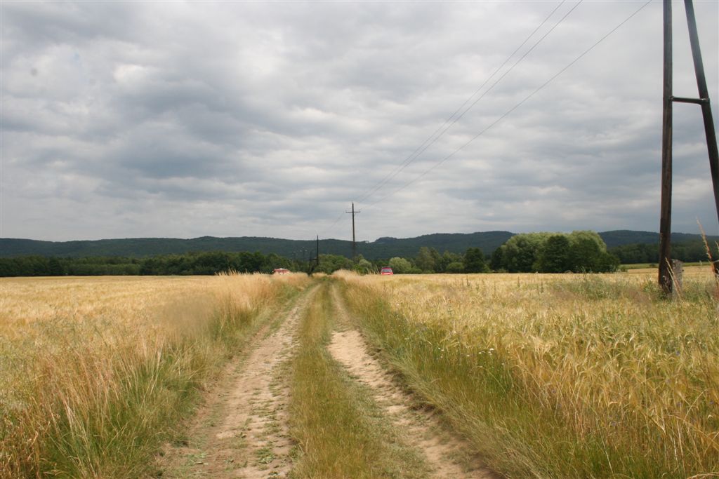 3 pozar posed daskabat (3).JPG