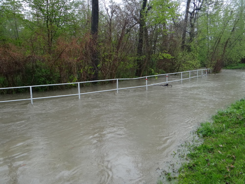 3SPA_PolankanadOdrou (OV) (8).JPG