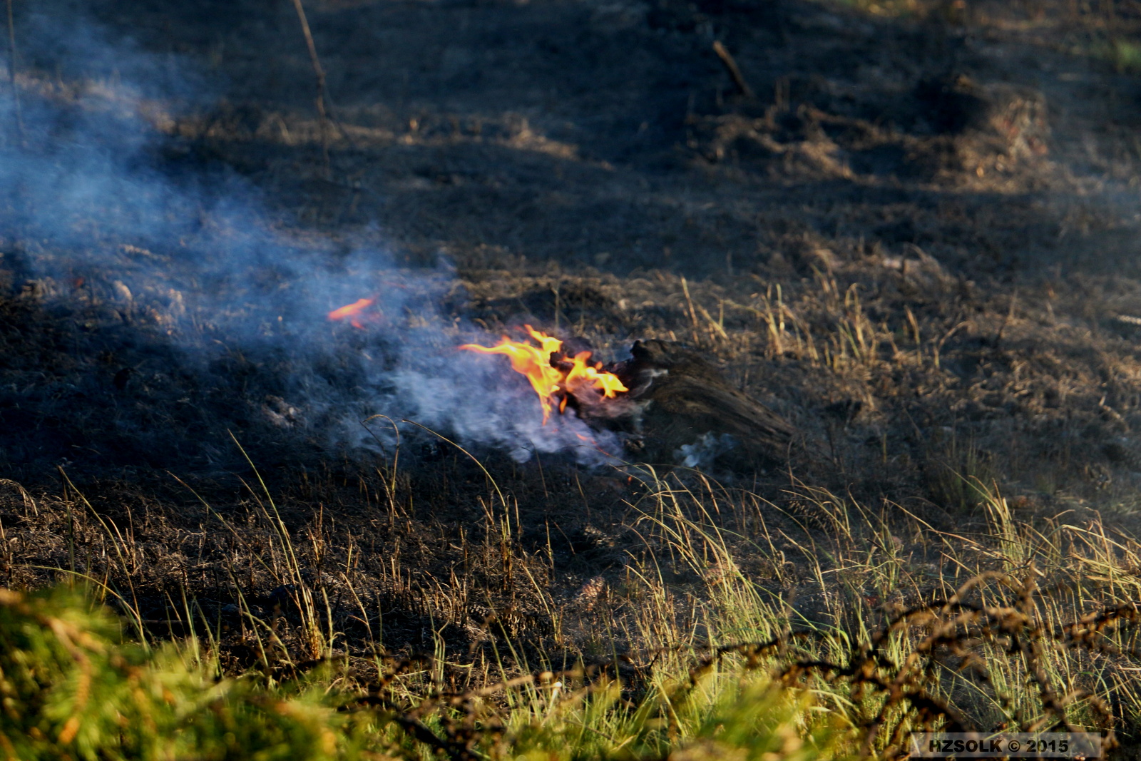 4 21-4-2015 Požár lesa Náměšť na Hané (29).JPG