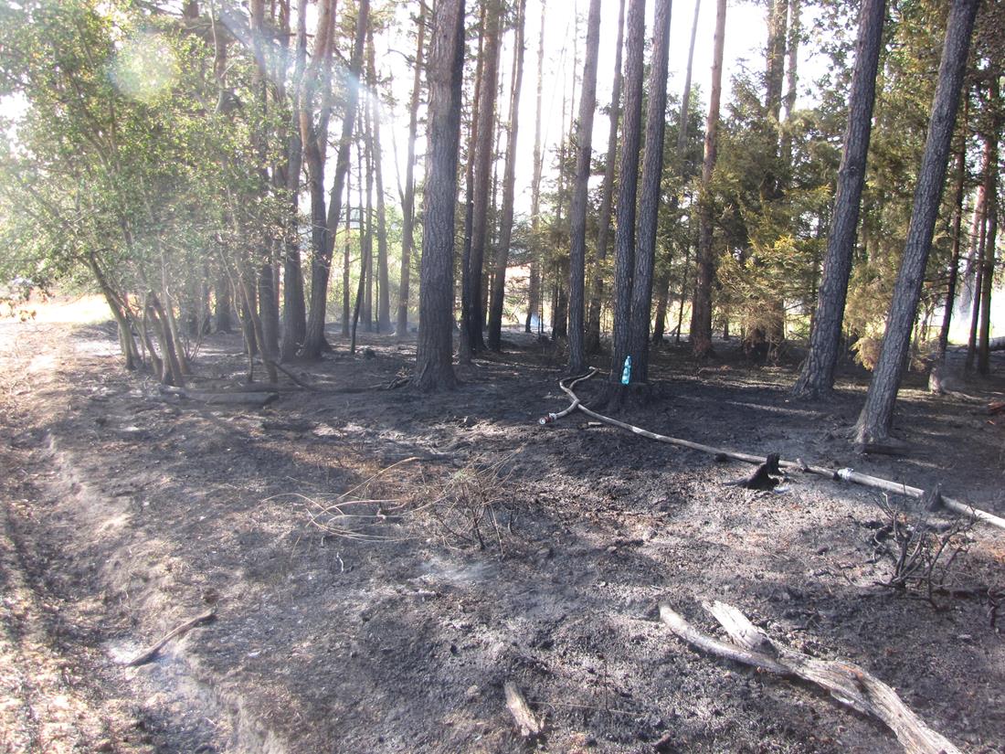 4 Požár pole a lesa, Nová Ves - 18. 7. 2015 (4).JPG