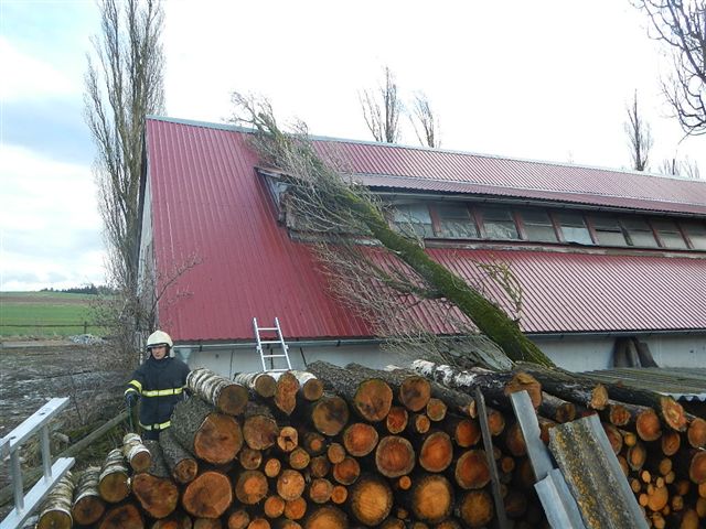 4 Spadlý strom na hřebčín, Roseč - 31. 3. 2015 (1).jpg