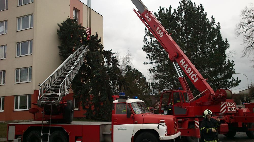 4 Spadlý strom na panelák, Bechyně - 31. 3. 2015 (5).jpg