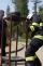 42 DSC08551