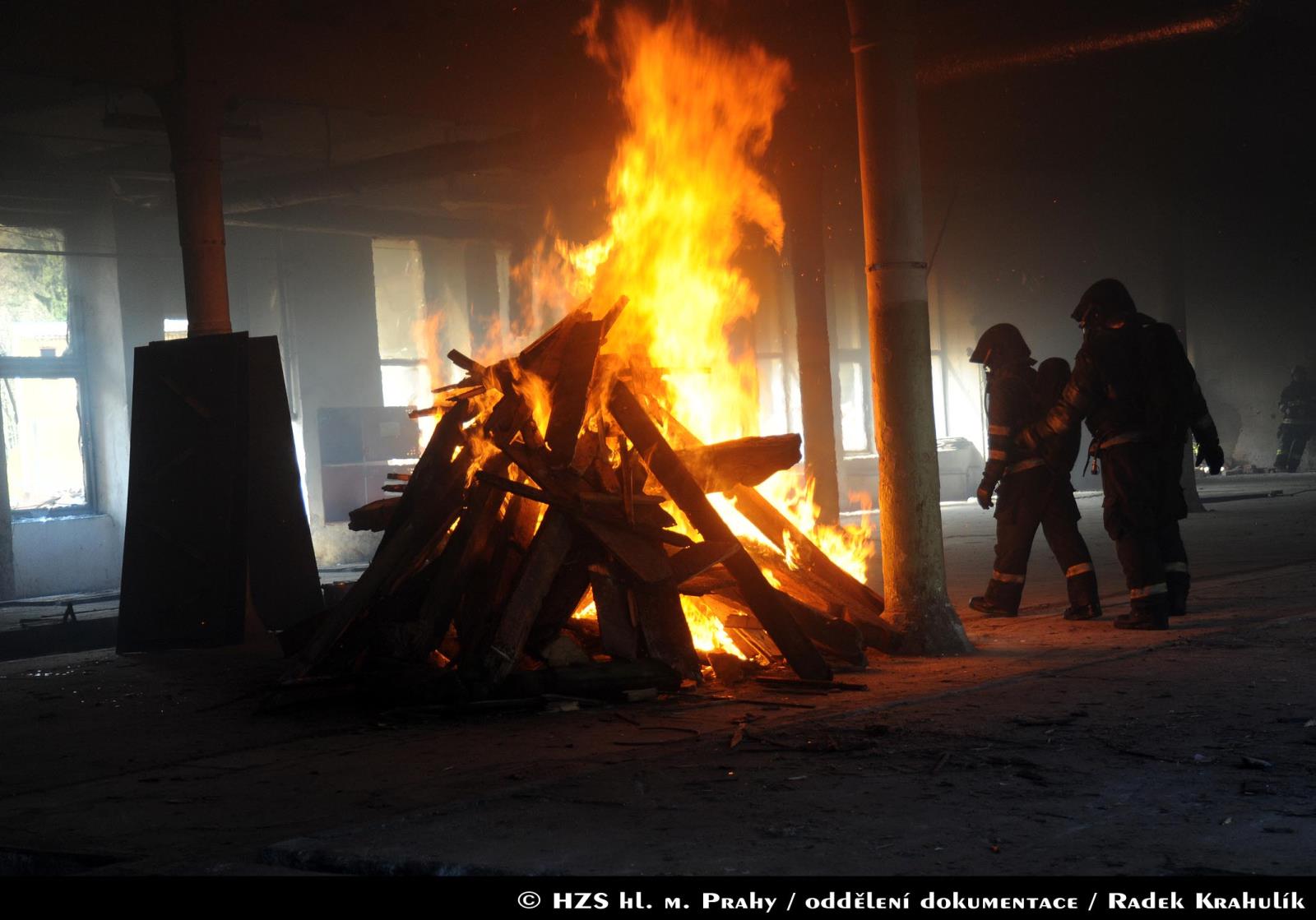 5 20170502B_cobra_032.JPG