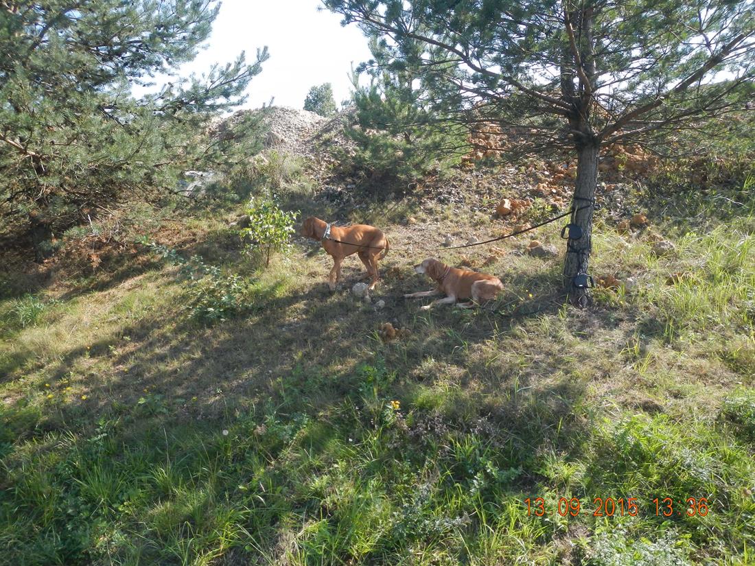 5 Dopravní nehoda 2 OA, Tábor - 13. 9. 2015 (5).JPG