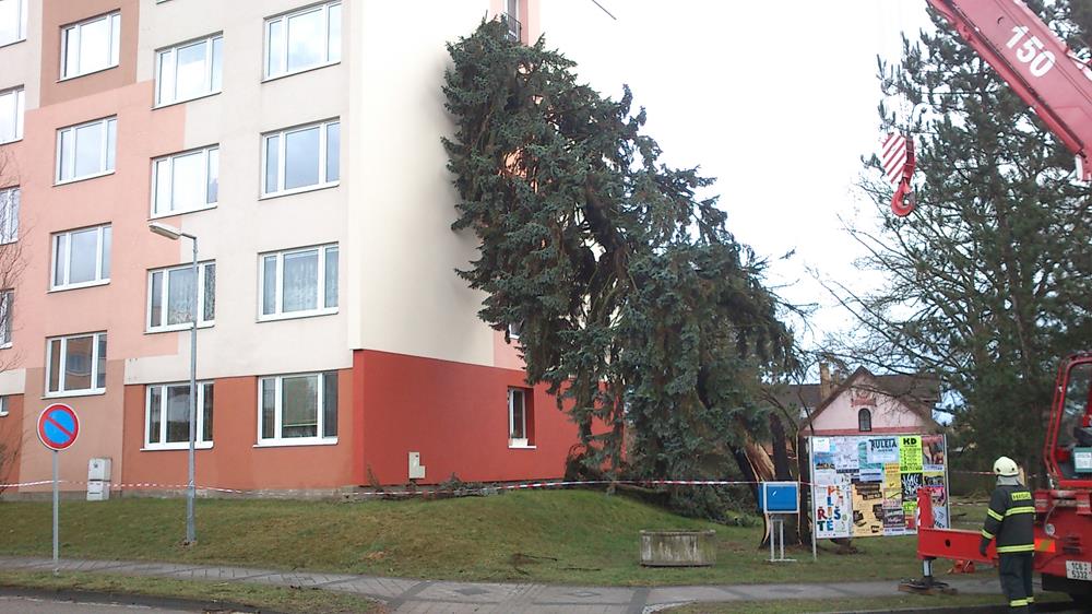 5 Spadlý strom na panelák, Bechyně - 31. 3. 2015 (1).jpg