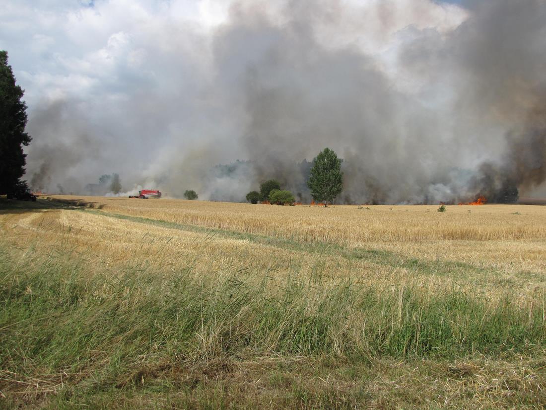 6 Požár pole a lesa, Nová Ves - 18. 7. 2015 (6).JPG