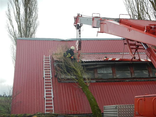 6 Spadlý strom na hřebčín, Roseč - 31. 3. 2015 (3).jpg