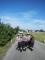 6 Technický zásah - pomoc invalidní osobě, České Budějovice - 1. 8. 2015 (6)