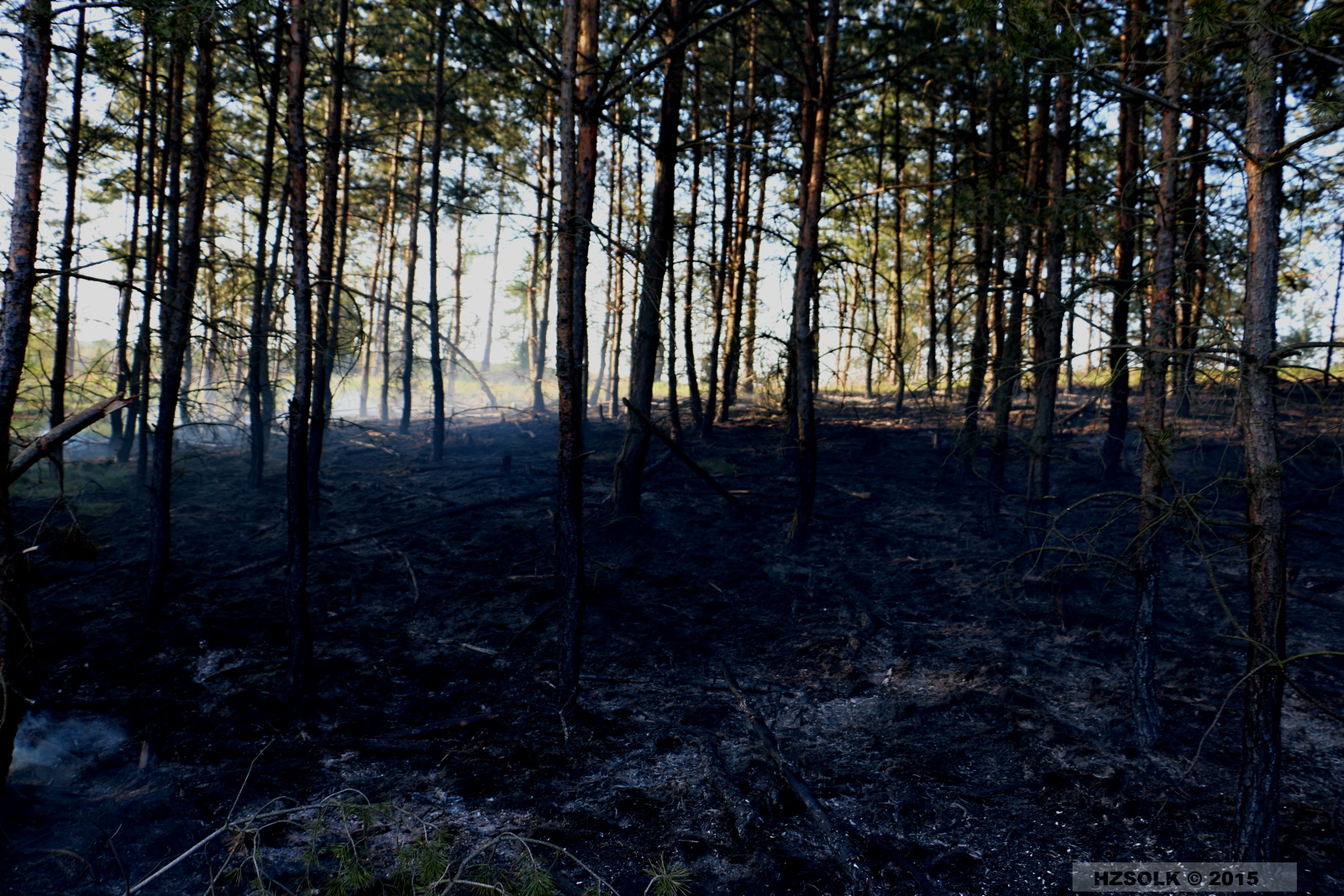 7 21-4-2015 Požár lesa Náměšť na Hané (15).JPG