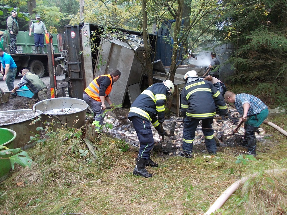 7 Dopravní nehoda NA, Planá n. L. - 3. 10. 2014 (3).jpg