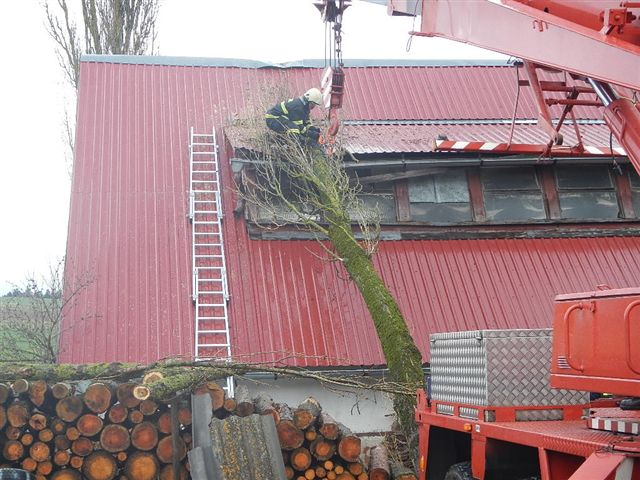 7 Spadlý strom na hřebčín, Roseč - 31. 3. 2015 (4).jpg