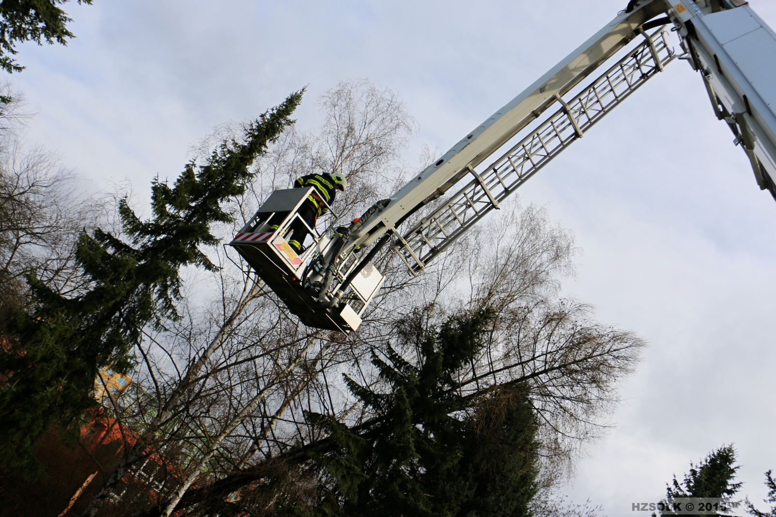 7 TP_Olomouc_Jilova_1-4-2015 odstranění stromu Olomouc (15).JPG