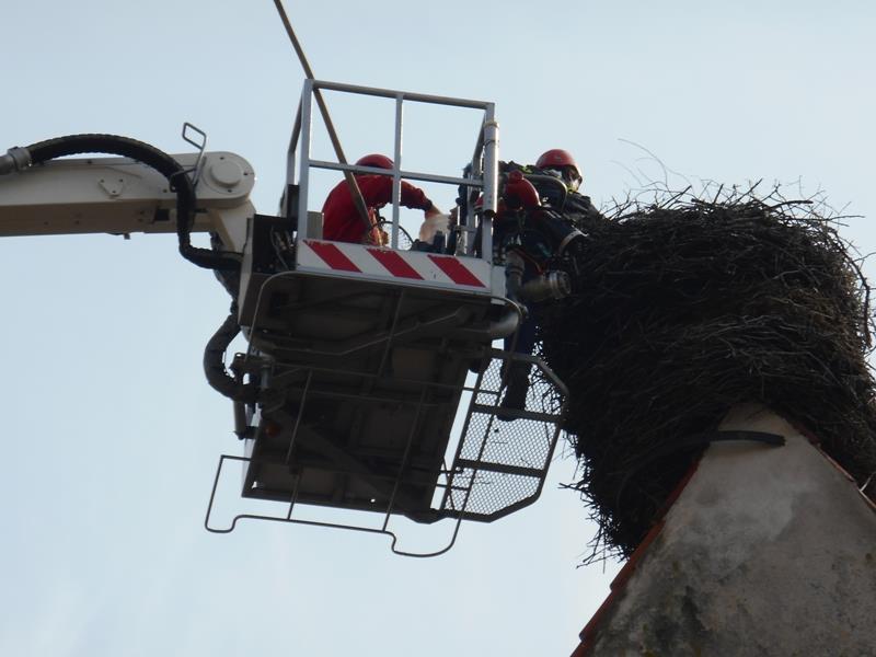 7 Záchrana čapích vajec, Dubné - 11. 4. 2015 (5).jpg