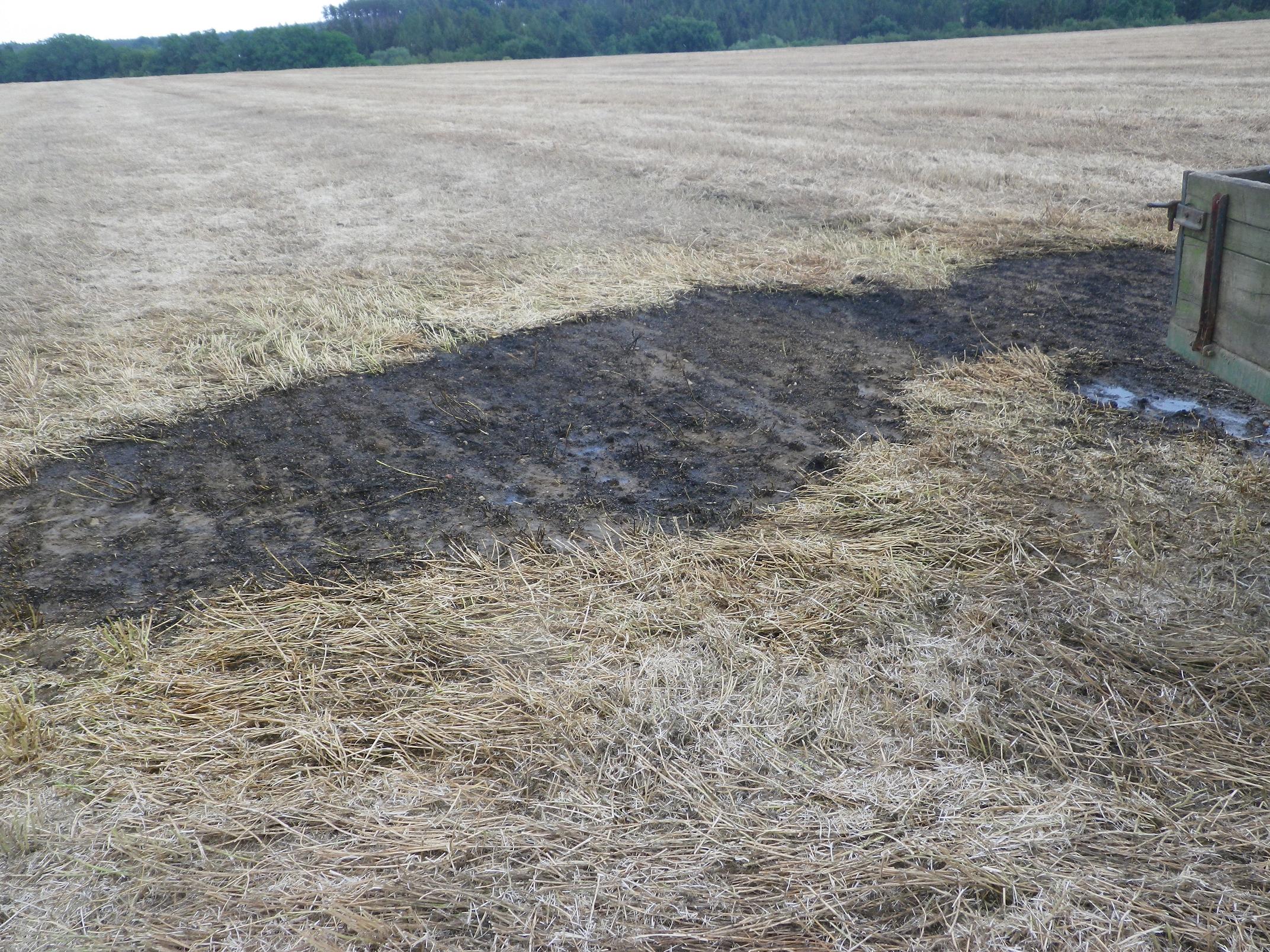 7.7.2015 požár pole Plešnice.JPG