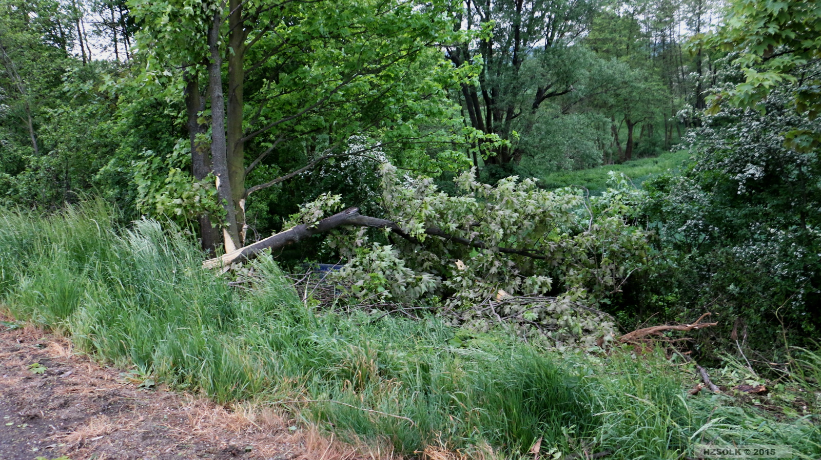 9 21-5-2015 DN nehoda dvou osobních vozidel (9).JPG