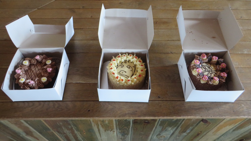 9 Mladý záchranář, Hoštice - 13. 4. 2016 (9).JPG