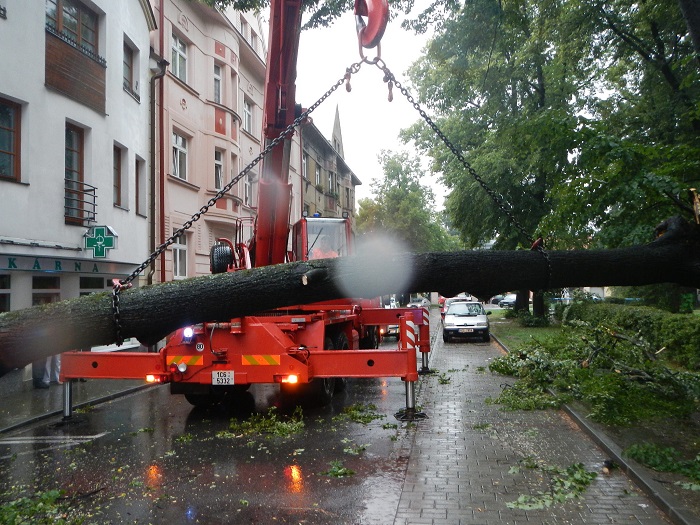 9 Pád stromu na 2 OA, České Budějovice - 21. 7. 2014 (9).jpg