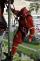 96 vycvik_lezci_moravska_vysoka_skola_olomouc_28_6_2012 (88)